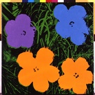 Andy Warhol, Flowers (purple, blue and orange), 1964. Collezione Brant Foundation