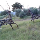 Il Sedicente Moradi, I CERVI, assemblaggio di legno. Fattoria le masse, Barberino Valdelsa (FI) - 12 settembre 2014.