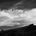 © Lorenzo Cicconi Massi / Le Colture