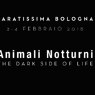 Paratissima Bologna. Animali Notturni - The dark side of life