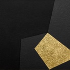Nero x Nero. Burri e Nunzio