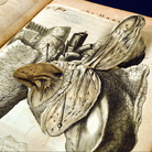 Arti e scienze nei libri interattivi delle collezioni Sapienza