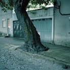 Andrè Cepeda. Fade