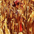 La Donna Nutre il Mondo