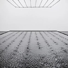 Rose of Nothingness | Biennale Venezia 2026