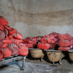 Dayanita Singh. Archivio