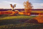 Il fiore. Jasenovac Memorial Museum