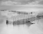 Franco Donaggio. REFLECTIONS