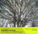 Sandro Scalia. Naturalia / Artificialia
