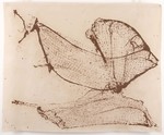 Gandolfo Gabriele David. Lur Sareak/Reti di Terra
