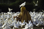 Steve McCurry. For Freedom