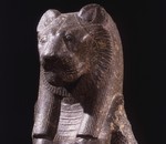 Sekhmet, la Potente. Una leonessa in città