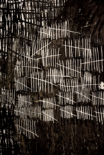 Daria Koltsova. If I can neither feel nor think, where am I then?