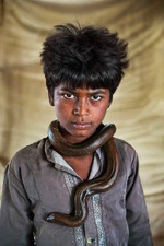 STEVE McCURRY. ANIMALS