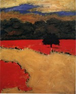 Una luce d'ombra