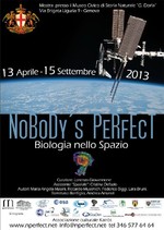 Nobody's Perfect