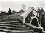 Fulvio Roiter. Fotografie 1948-2007