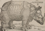 Albrecht Dürer. La collezione completa dei Remondini