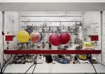 Thomas Struth: Nature & Politics