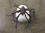 Louise Bourgeois In Florence