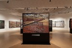 Burtynsky: Extraction / Abstraction