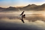 Steve McCurry. Icons