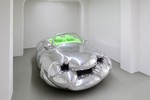 Erwin Wurm. Trans Formam