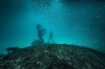 Damien Hirst. Treasures from the Wreck of the Unbelievable