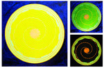 ID-ENTITY R-EVOLUTION: Corpi-Naturans, Transiti e Cyberspace