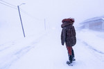ARCTIC TALES