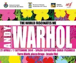 Andy Warhol. The world fascinates me