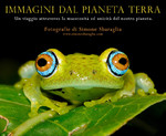 Simone Sbaraglia. Immagini dal Pianeta Terra