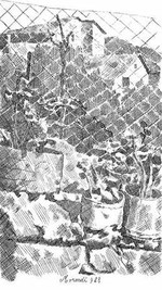 Giorgio Morandi. Incisioni dalla collezione Luciana Tabarroni