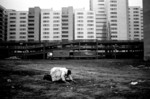 ZEITWIRDKNAPP / NON C’È PIÙ TEMPO - Retrospektive 1977-2019. Fotografie di Miron Zownir