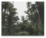 Haley Mellin. Siamo Natura