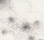 Confronting Anitya. Oriental experience in Contemporary Art