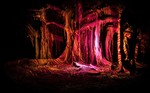 Anima Mundi