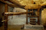 Paesaggi dell'olio, tra uliveti e frantoi del Tigullio di interesse culturale