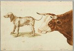 Sinibaldo Scorza (1589 - 1631). Avezzo a maneggiare la penna disegnando