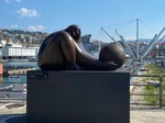 Deredia a Genova – La sfera tra i due mondi