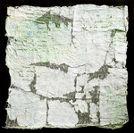 Anna Moro-Lin. La natura delle cose