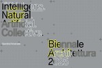 BIENNALE ARCHITETTURA 2025 - 19. MOSTRA INTERNAZIONALE DI ARCHITETTURA