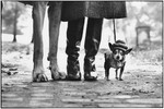 Elliott Erwitt. Family