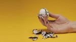 Camille Henrot