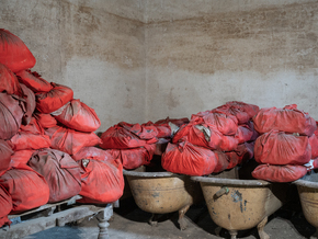 mostra Dayanita Singh. Archivio