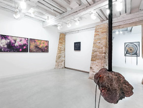exhibition E-merging Nature - Stefano Arienti, Mariella Bettineschi, Arthur Duff, Claudia Losi, Quayola, Laura Renna