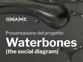 Loris Cecchini. Waterbones (the social diagram)