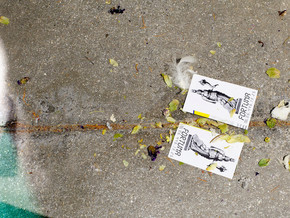 exhibition Jason Dodge. Cut a Door in the Wolf - Jason Dodge