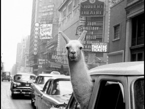 mostra Inge Morath. La vita. La fotografia - Inge Morath