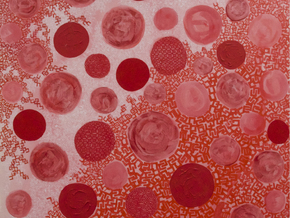 Anzai Tsuyoshi. Anima